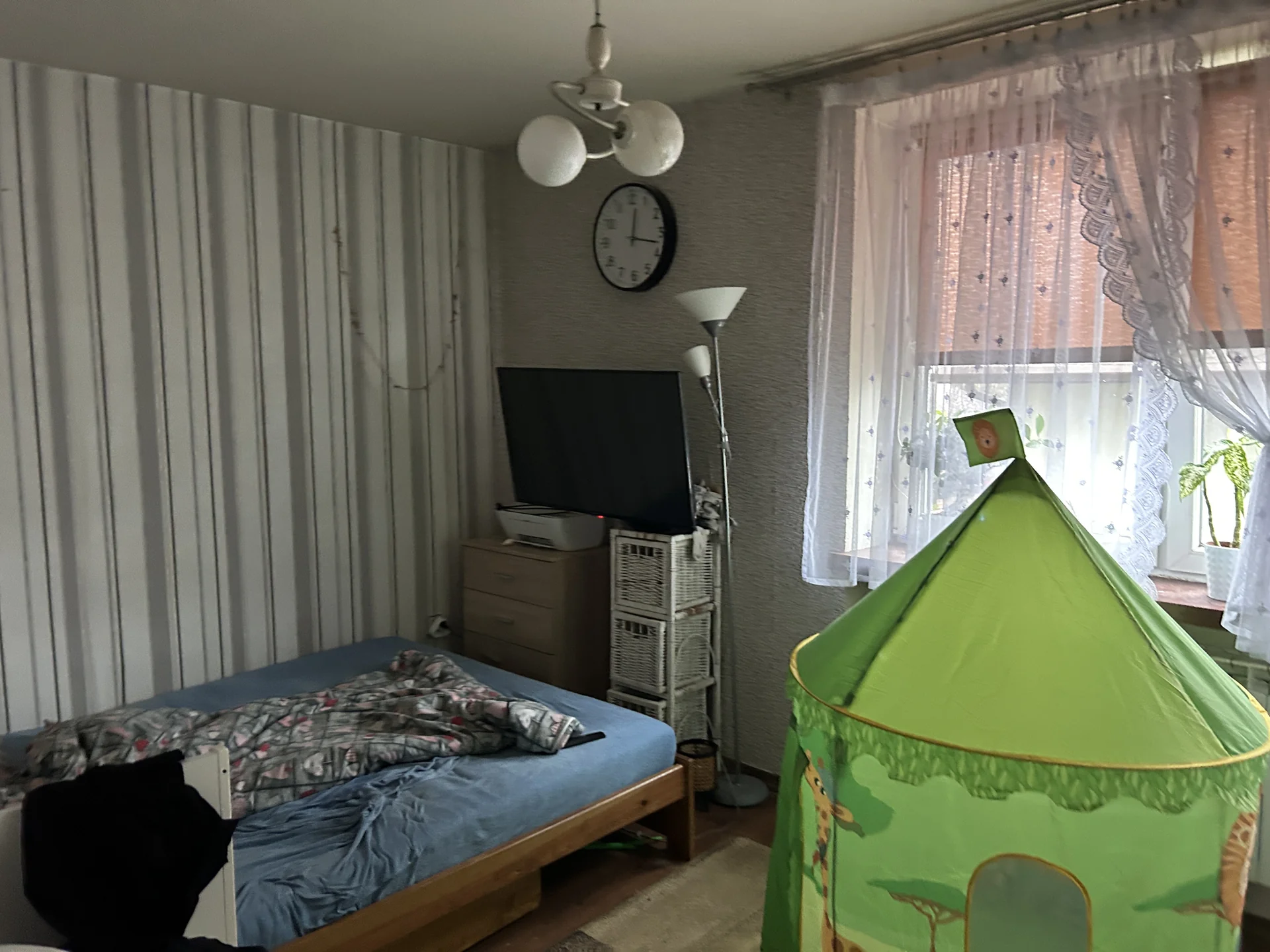 Zdjęcie ogłoszenia 9