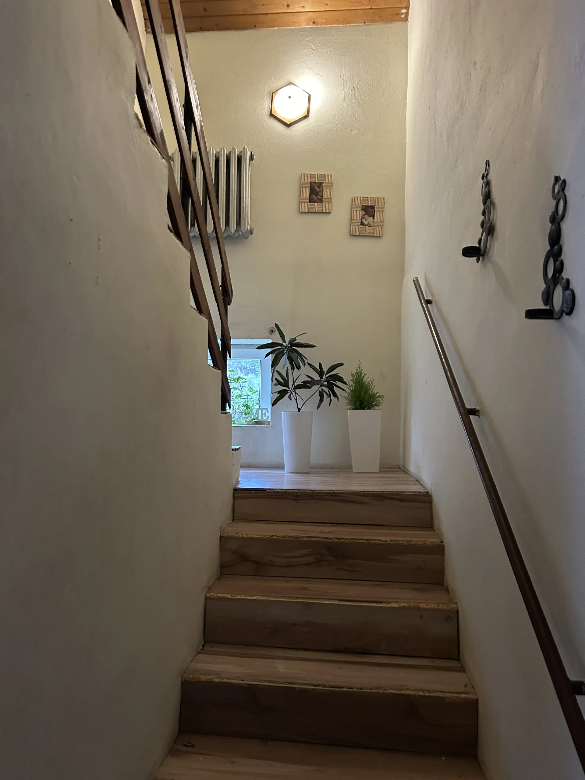 Zdjęcie ogłoszenia 10