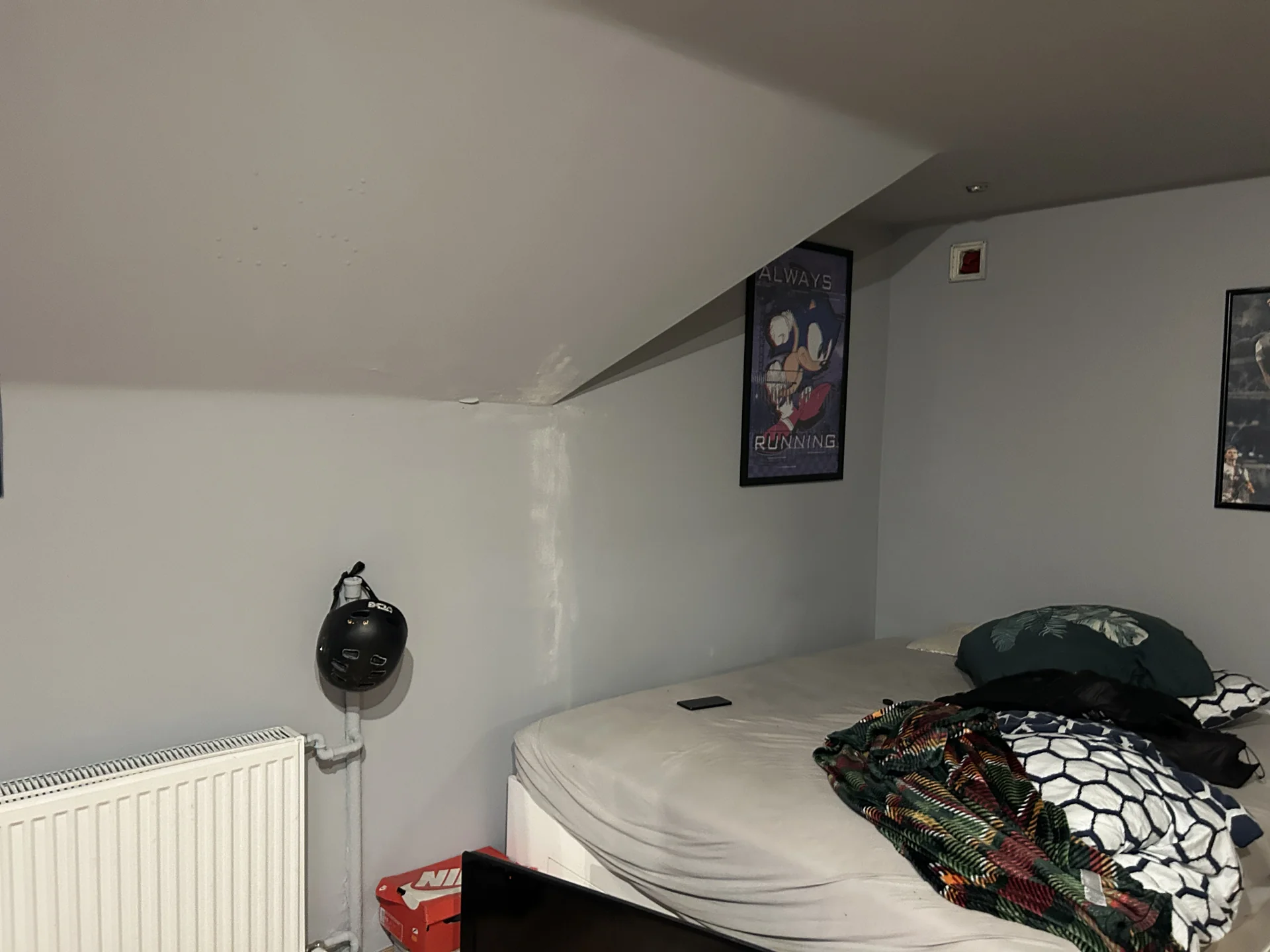 Zdjęcie ogłoszenia 11