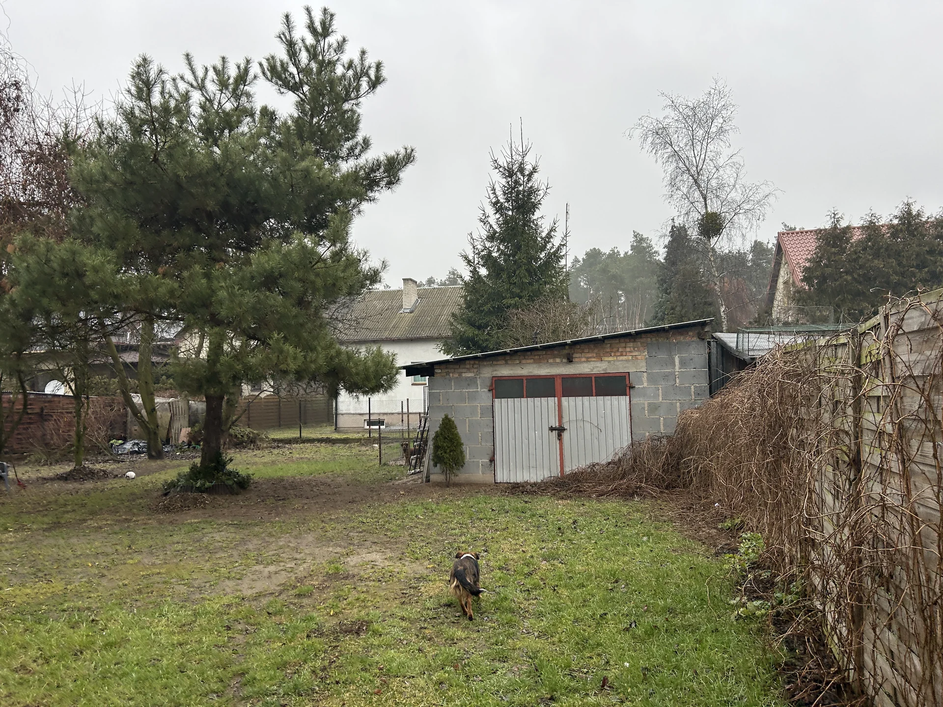 Zdjęcie ogłoszenia 13