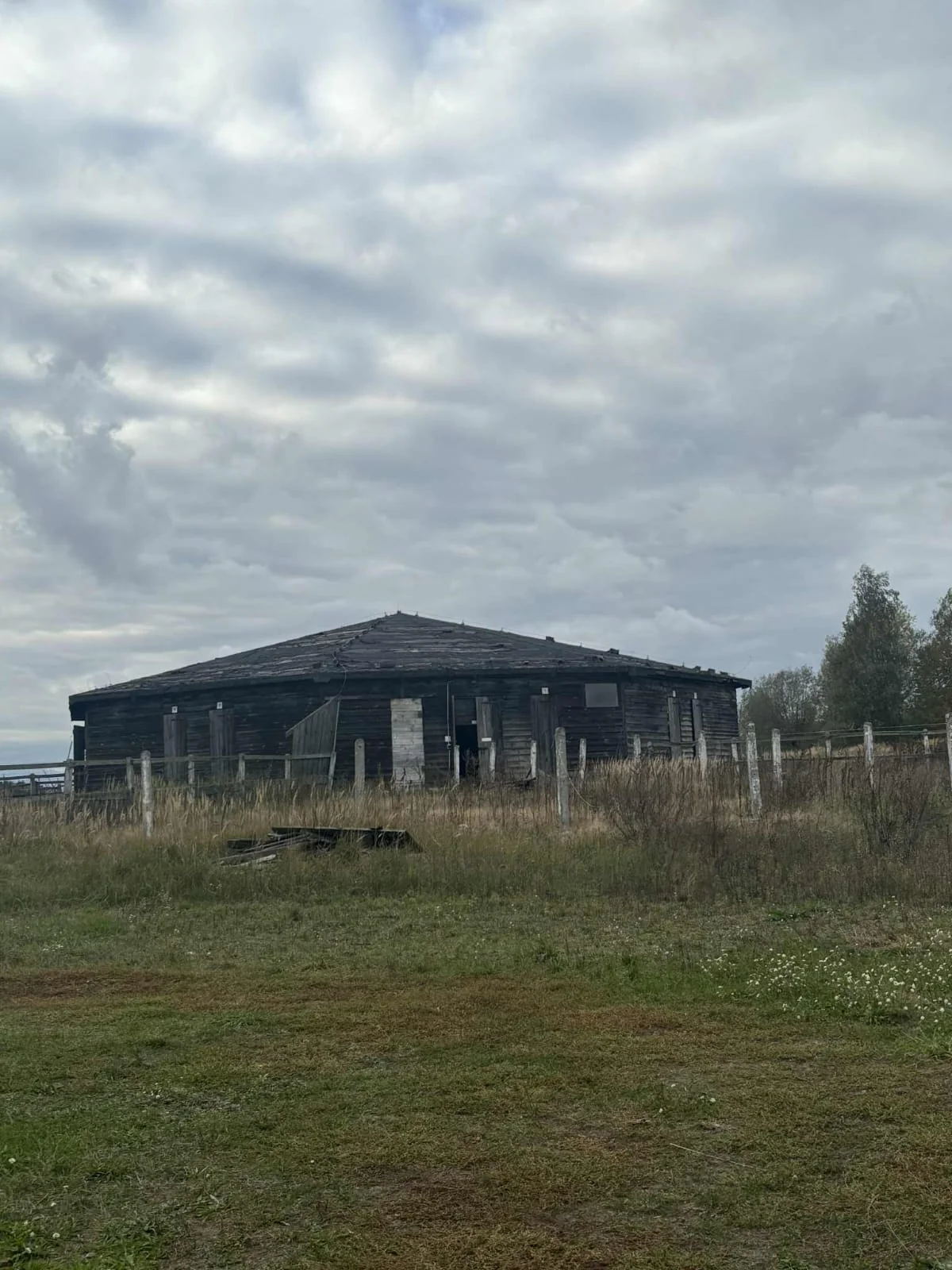 Zdjęcie ogłoszenia 2