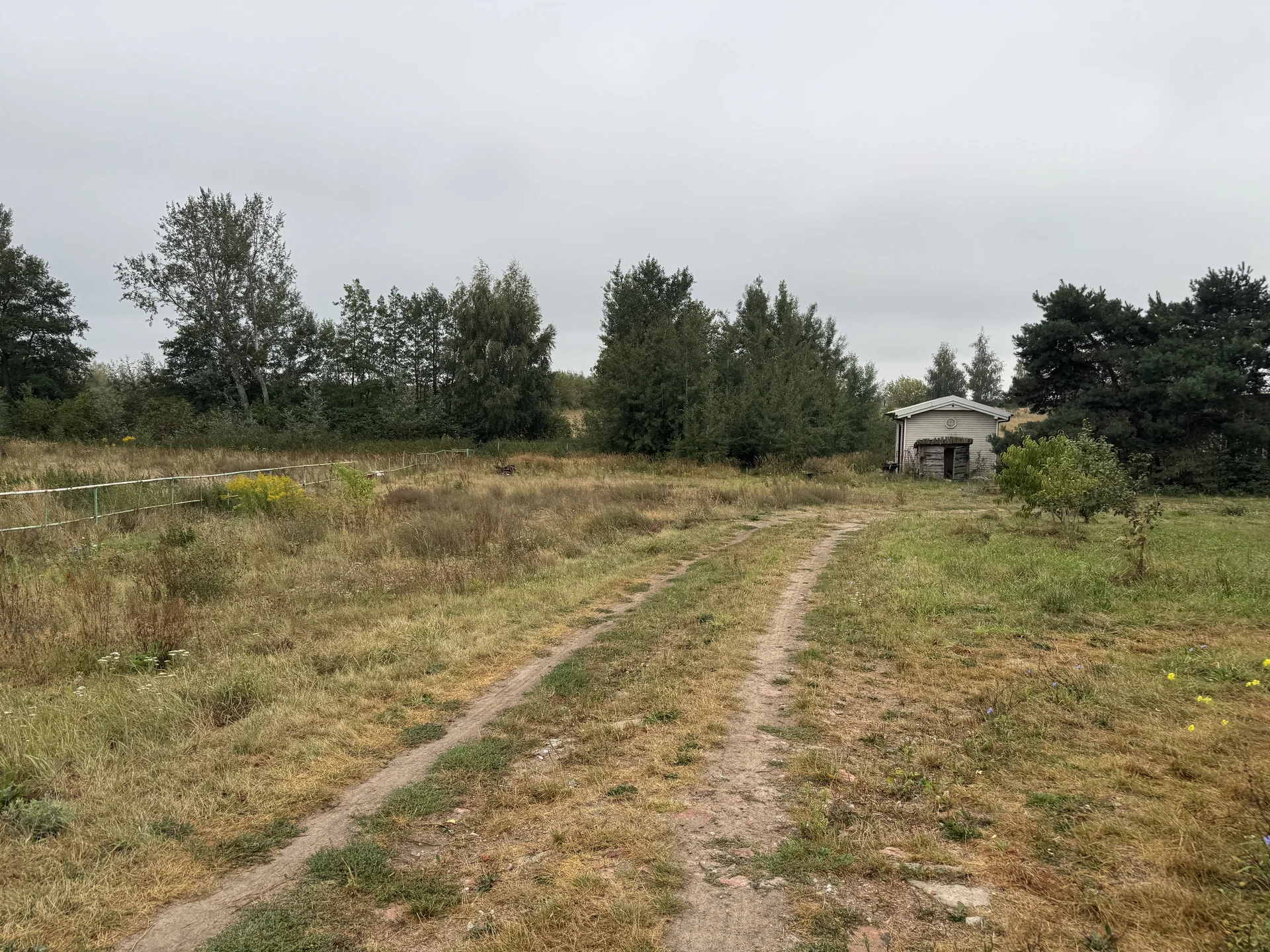 Zdjęcie ogłoszenia 5