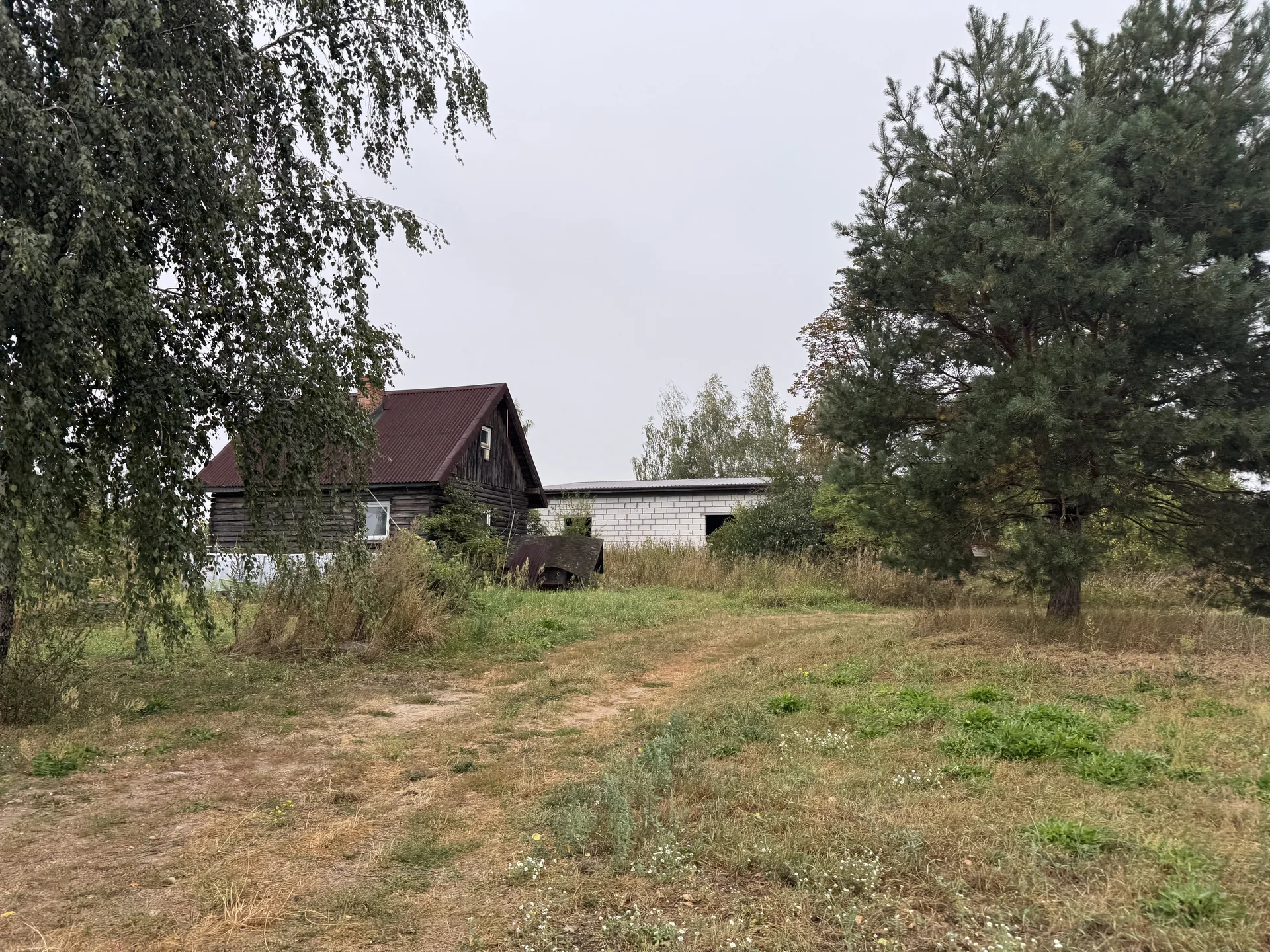 Zdjęcie ogłoszenia 6