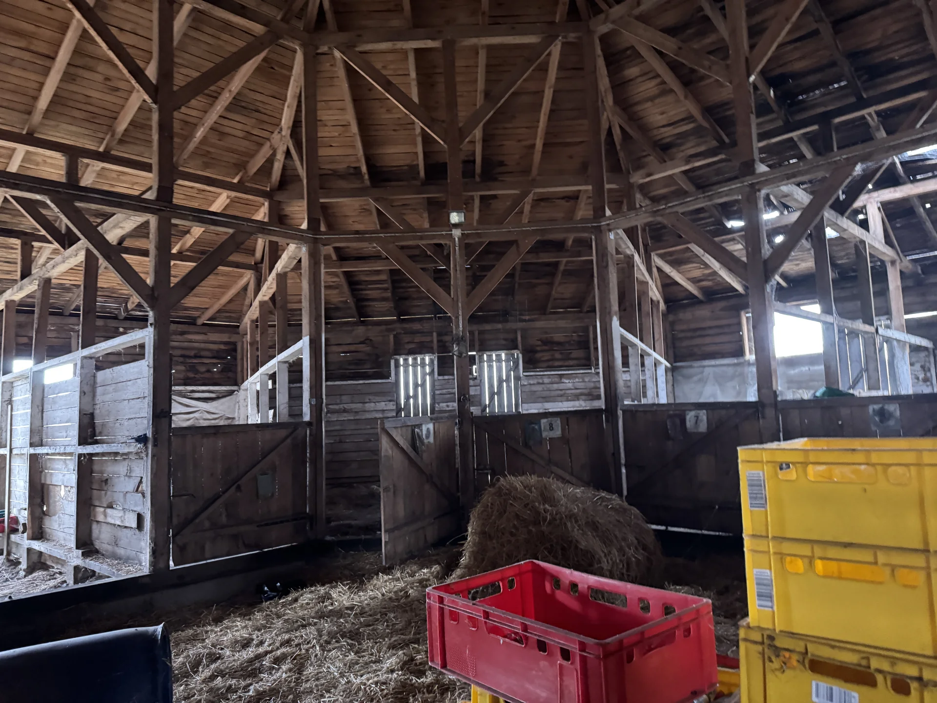 Zdjęcie ogłoszenia 7