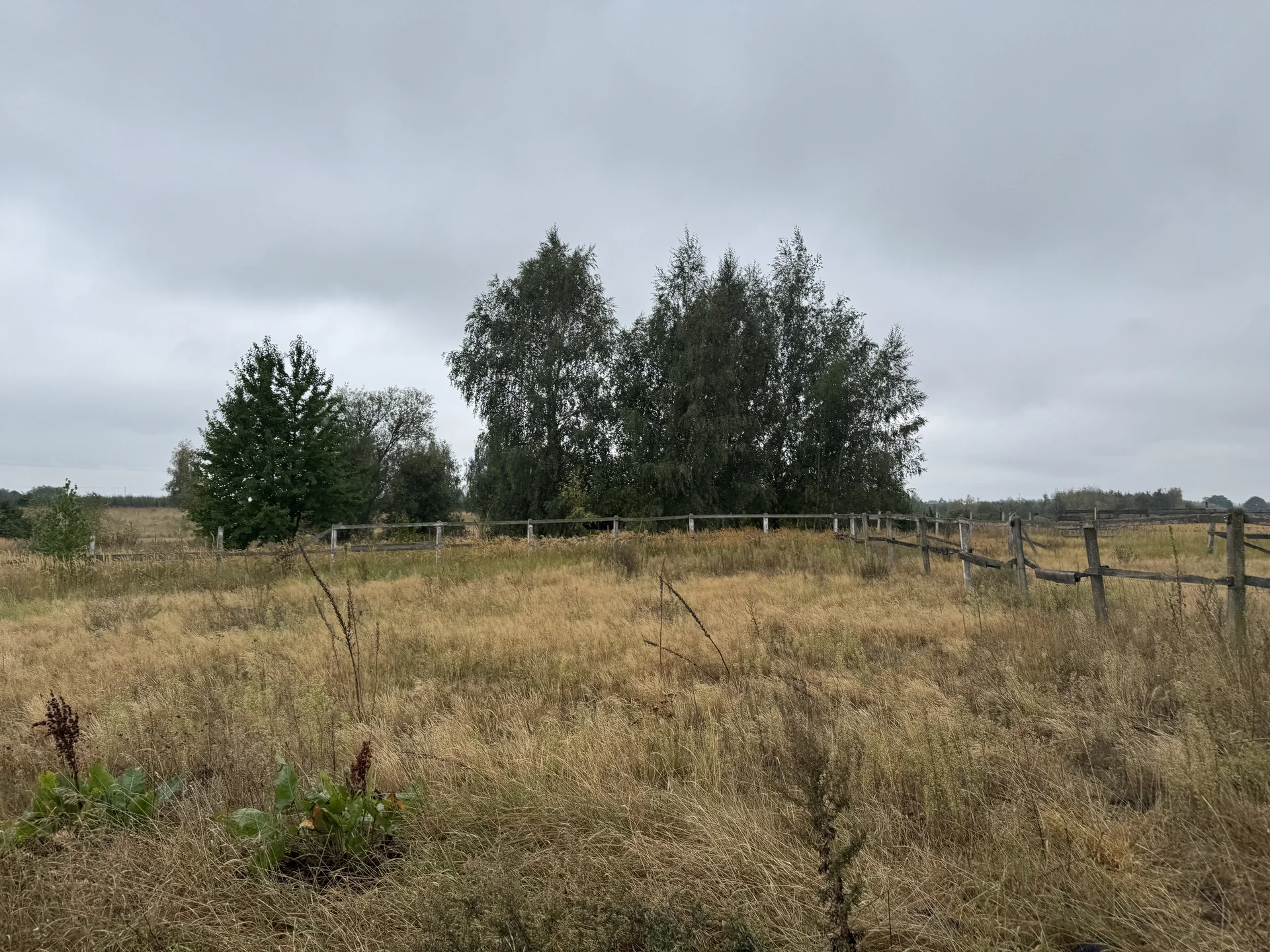 Zdjęcie ogłoszenia 8