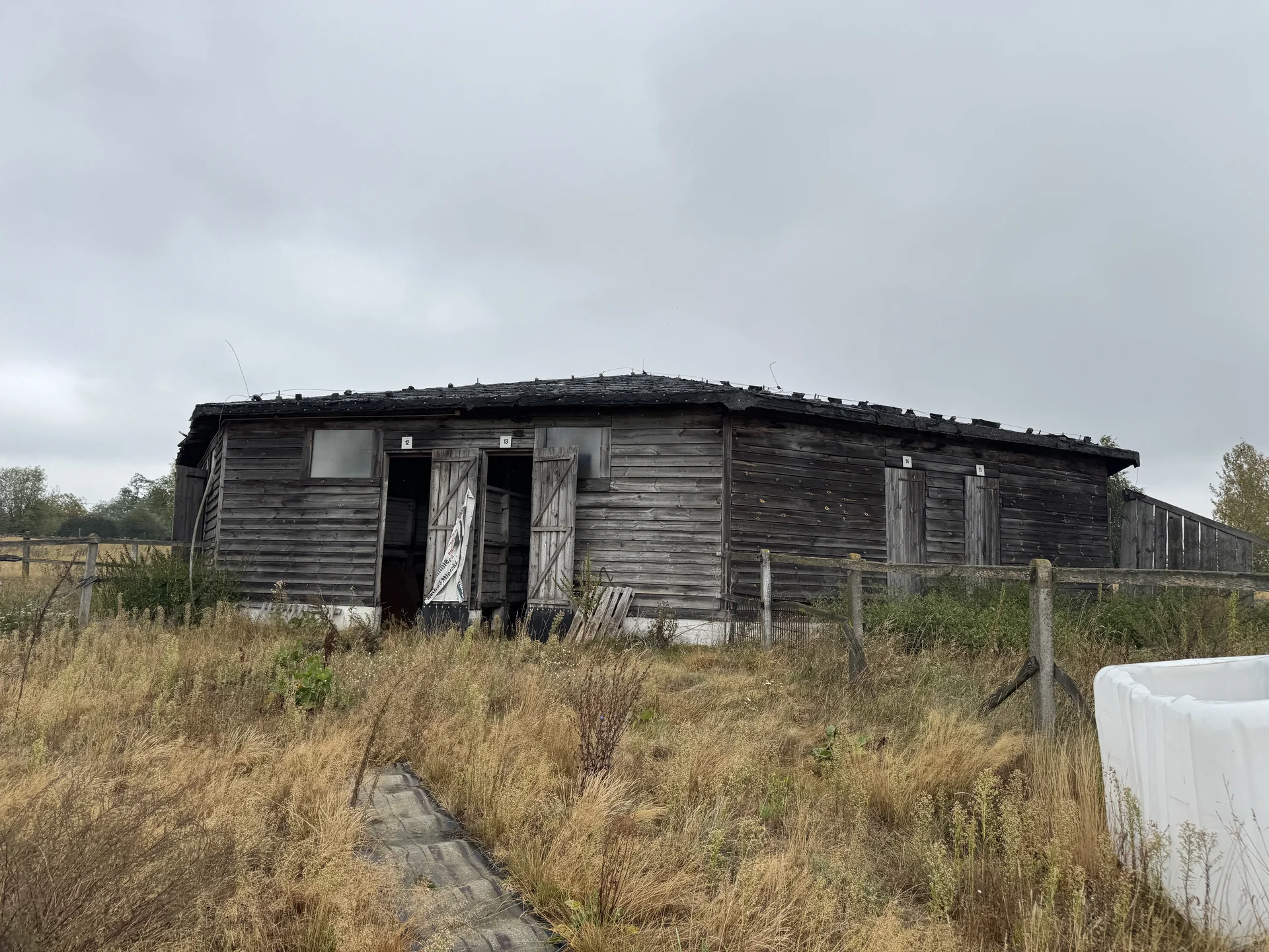 Zdjęcie ogłoszenia 9