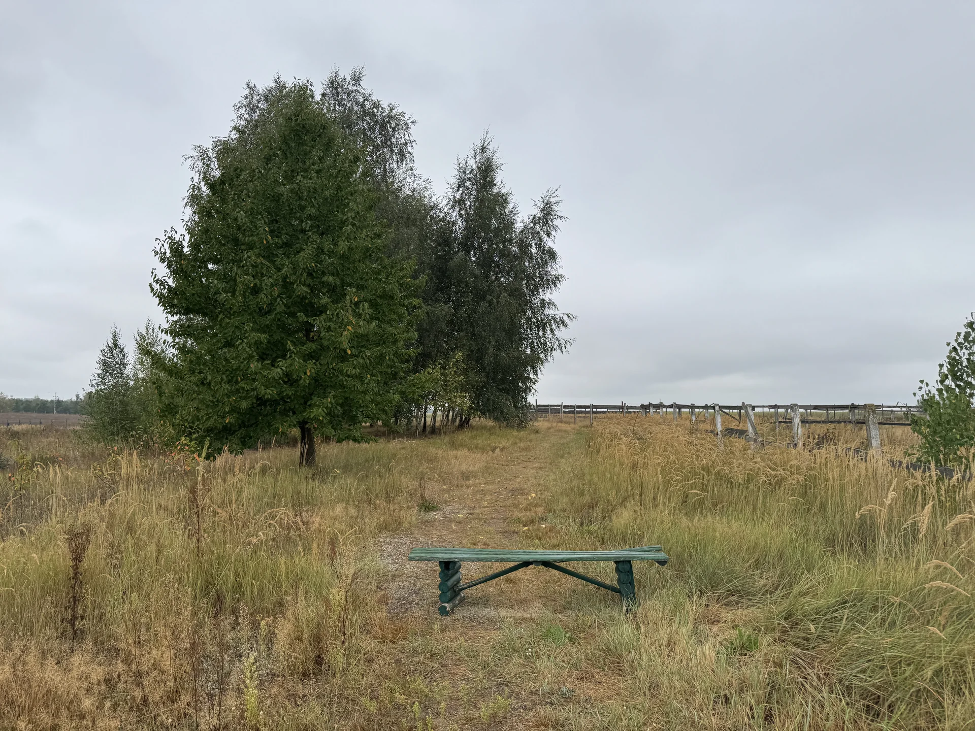 Zdjęcie ogłoszenia 11