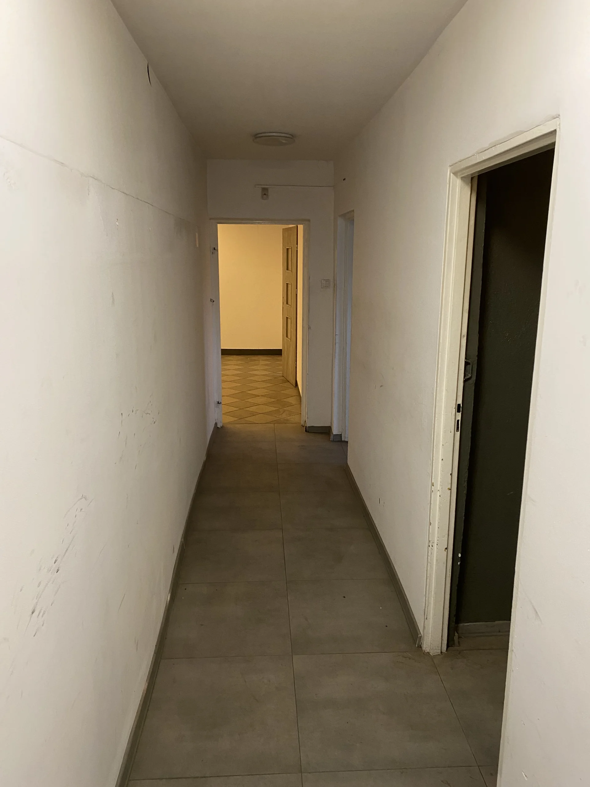 Zdjęcie ogłoszenia 5