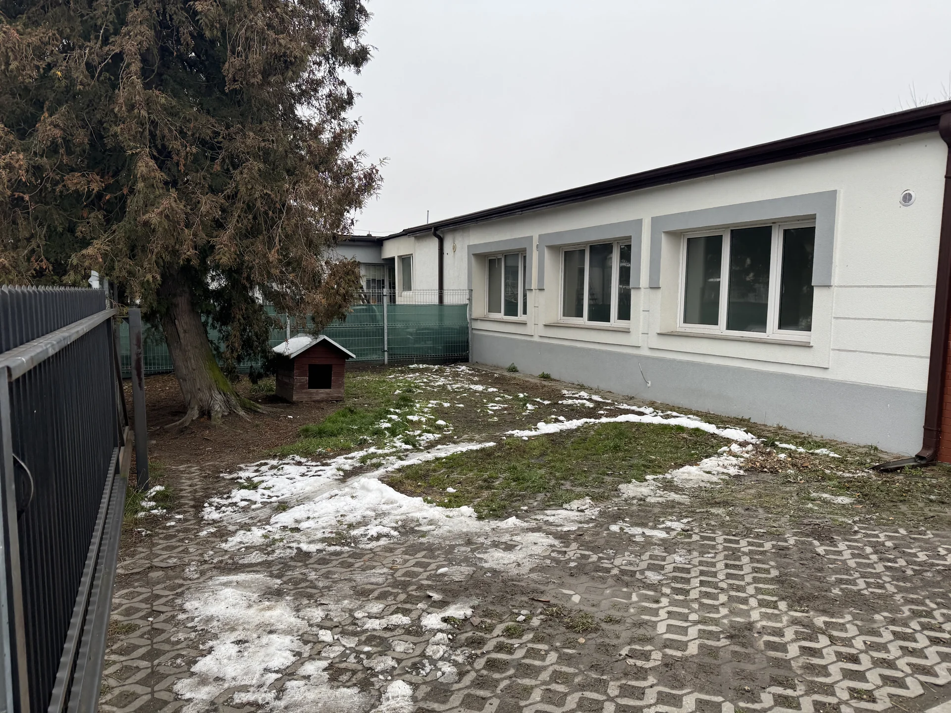 Zdjęcie ogłoszenia 1