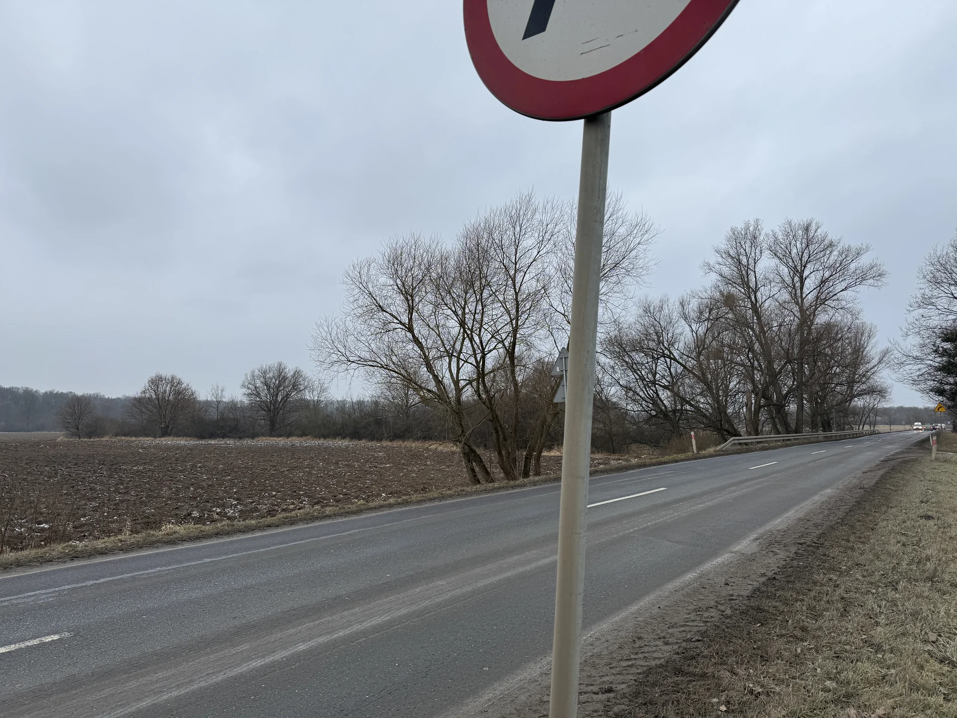Zdjęcie ogłoszenia 4