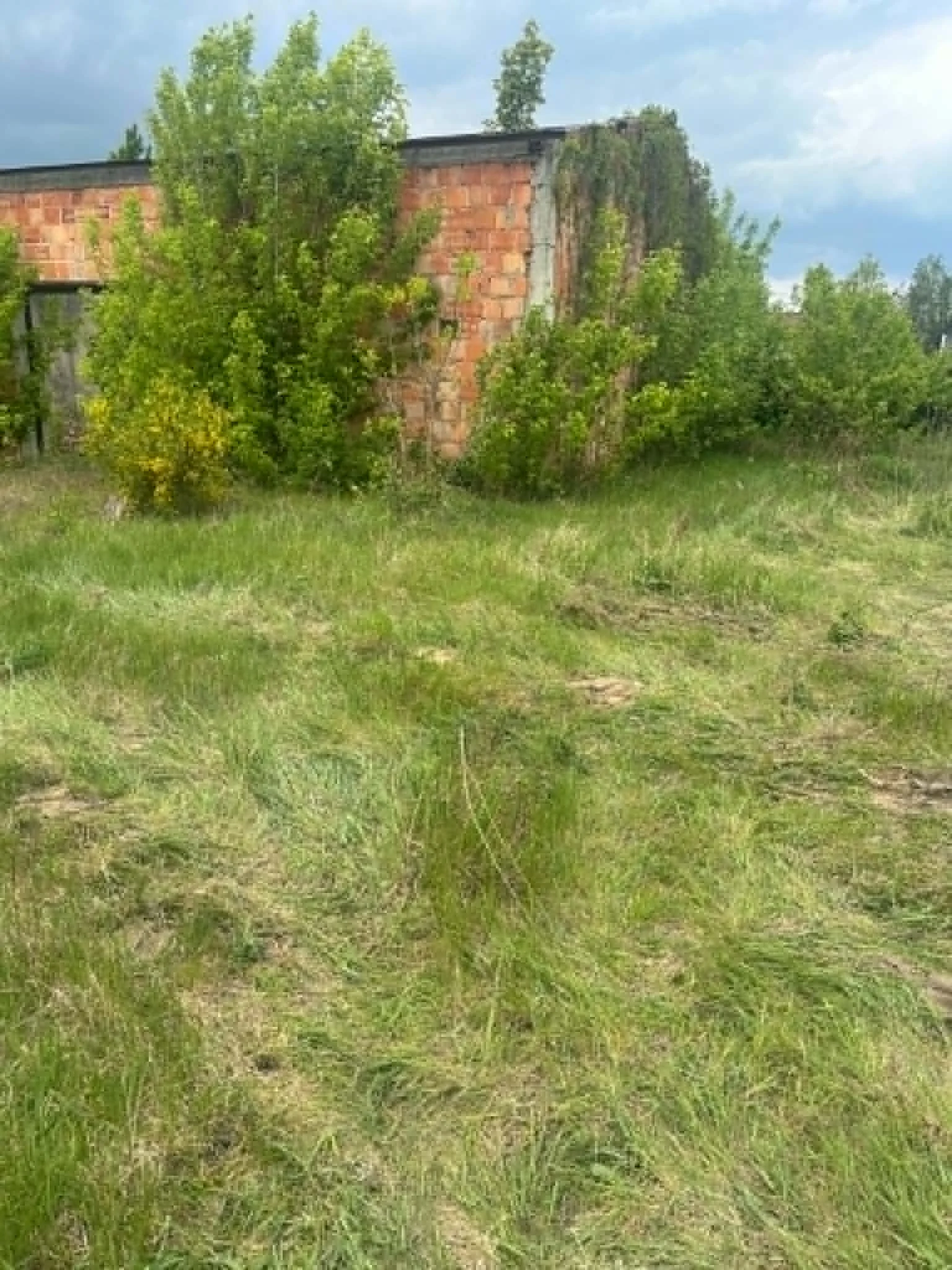 Zdjęcie ogłoszenia 2
